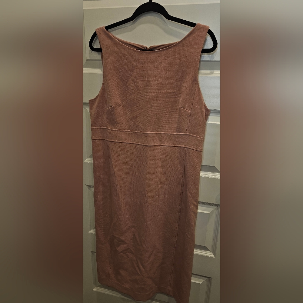 Ann Taylor Dress (14)